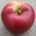 Obst von Bauer